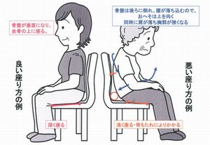 �֎q�ɍ��鐳�����p��